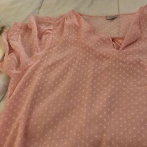 Plus size from the Avenue Pink sheer blouse